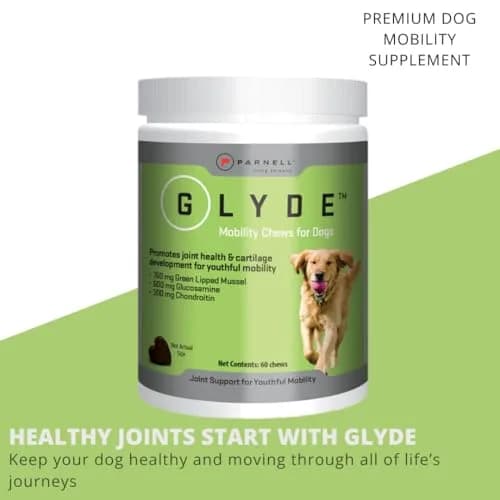 GLYDE Glyde Mobility Chews for Dogs - 120 Soft Chews | Support Joints & Mobility thumbnail 2