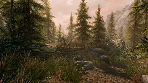 Bethesda The Elder Scrolls V Skyrim Special Edition Xbox One | Epic Fantasy, Remastered Graphics, Mods Support thumbnail 2