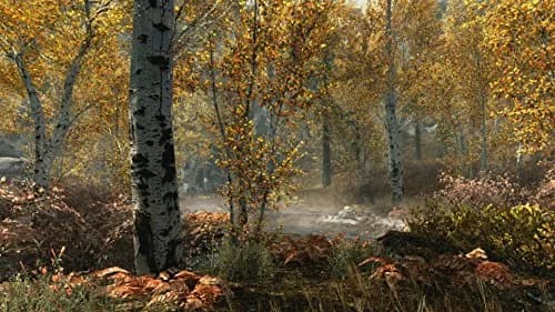 Bethesda The Elder Scrolls V Skyrim Special Edition Xbox One | Epic Fantasy, Remastered Graphics, Mods Support thumbnail 4