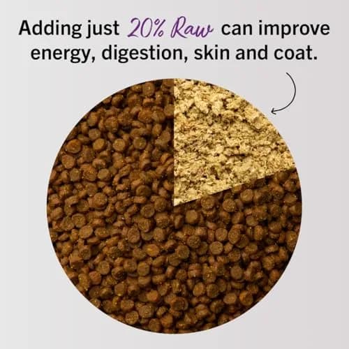 Stella & Chewy's Freeze-Dried Raw Cat Dinner Morsels Turkey Recipe 227 g (8 oz) | 98% Farm-Raised Meat & Organs thumbnail 5