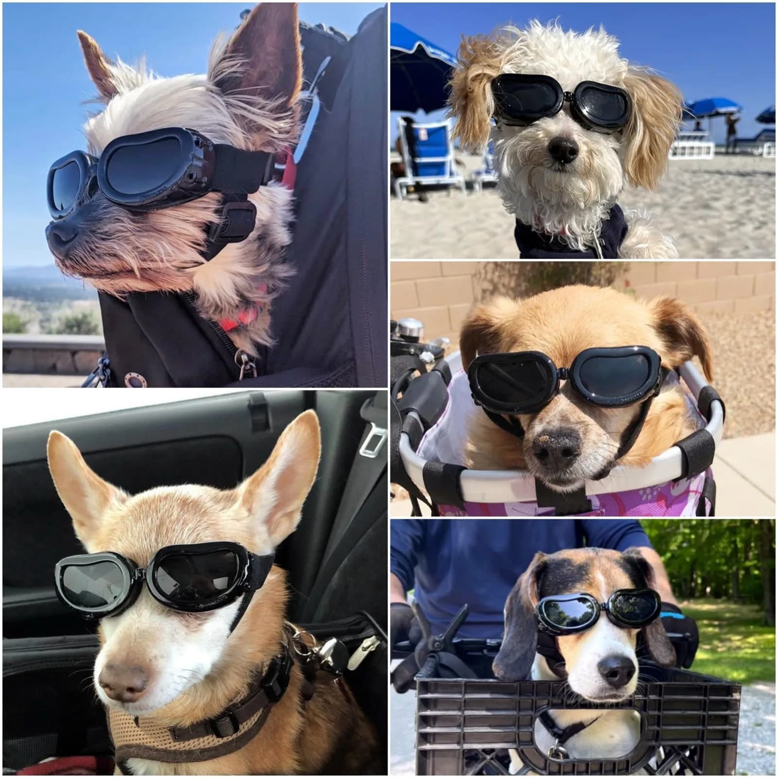 Enjoying Black Classic Dog Goggles for Small Breeds | UV Protection, Windproof, Adjustable Straps (5.9" L x 2" W x 1.7" H) - view 2