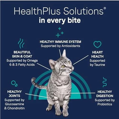 CANIDAE Pure Goodness Dry Cat Food, Real Chicken, 5 lb | Grain-Free, Limited Ingredient, Hypoallergenic thumbnail 7