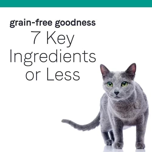 CANIDAE Pure Goodness Dry Cat Food 10 lb | Grain-Free, Real Chicken, Sensitive Stomach Support thumbnail 5