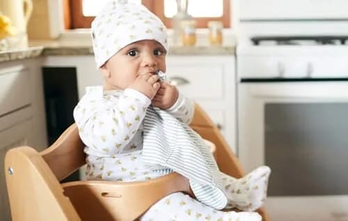 Burt's Bees Baby Infant Burp Cloths 5-Pack | Organic Cotton, Soft & Absorbent thumbnail 5