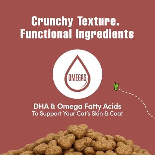 Get Naked Biteables Daily Crunchy Cat Treats for Skin Health, Cranberry Flavor, 2.5oz (70.87 g) | Functional Grain-Free Cat Snacks thumbnail 4