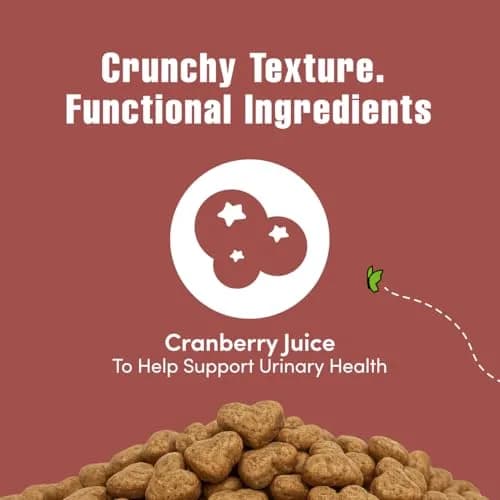 Get Naked Biteables Daily Crunchy Cat Treats for Skin Health, Cranberry Flavor, 2.5oz (70.87 g) | Functional Grain-Free Cat Snacks thumbnail 5