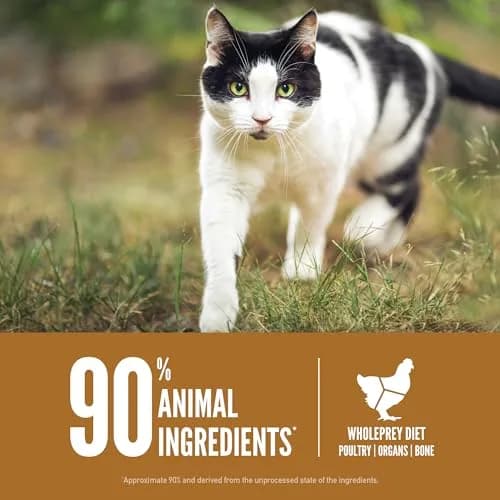 ORIJEN Grain Free WHOLEPREY Dry Cat Food 4lb | High Protein, Raw Flavor, Supports Digestion & Coat thumbnail 5
