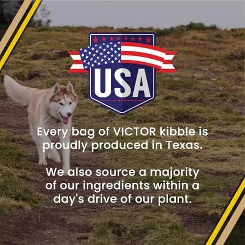 VICTOR Multi-Pro Gluten Free Dry Dog Food - Beef, Chicken & Pork, 30 lb | Multi-Protein, All Breeds & Life Stages thumbnail 9