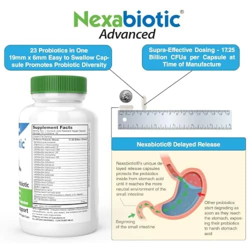 DrFormulas Nexabiotic 23 Multi Probiotic 30 Count | Doctor Formulated Digestive Health Support thumbnail 4