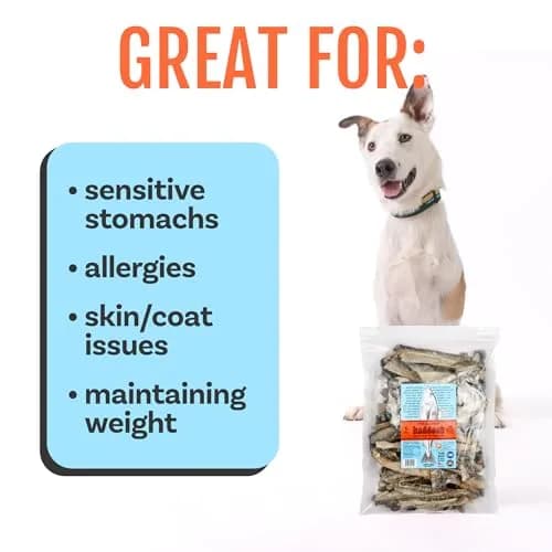 Polkadog Crunchy Haddock Skins Dog Treats | Single-Ingredient, 1lb | Omega-3 Rich, Hypoallergenic, Grain-Free thumbnail 5