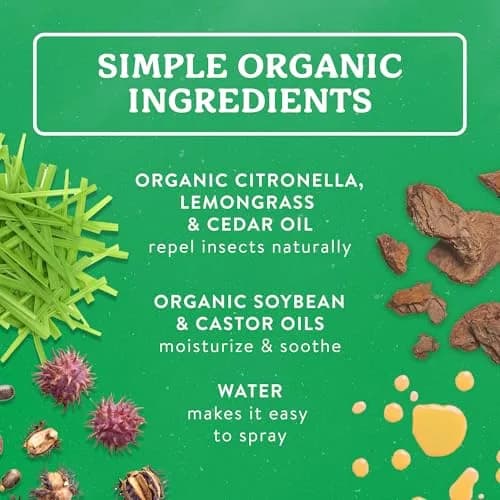 Badger Natural Insect Repellent Spray 240ml (8 Fl Oz) | DEET-Free, Family Friendly, Organic Essential Oils thumbnail 3