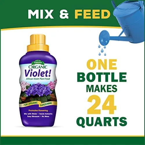 Espoma Organic Violet! 8oz Plant Food | Organic Fertilizer & Bloom Booster for Indoor Violets thumbnail 5