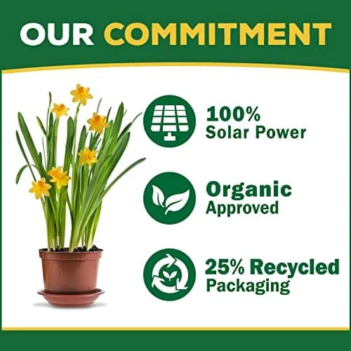 Espoma Organic Violet! 8oz Plant Food | Organic Fertilizer & Bloom Booster for Indoor Violets thumbnail 6