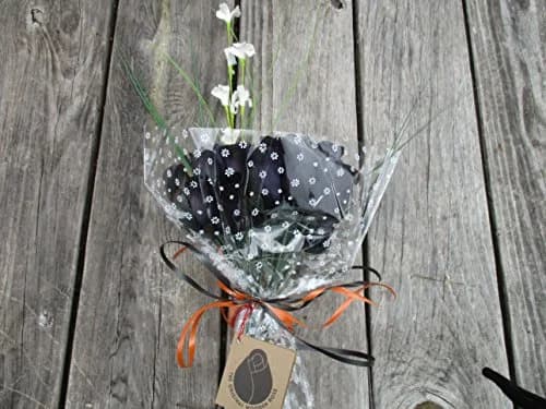 The Original Wooden Rose All Black Gothic Roses Halloween Floral Flower Bouquets in a Gift Box (2 Dozen) Brighten your space with handcrafted birch wood roses, maintenance-free, perfect for gifting or decor thumbnail 8