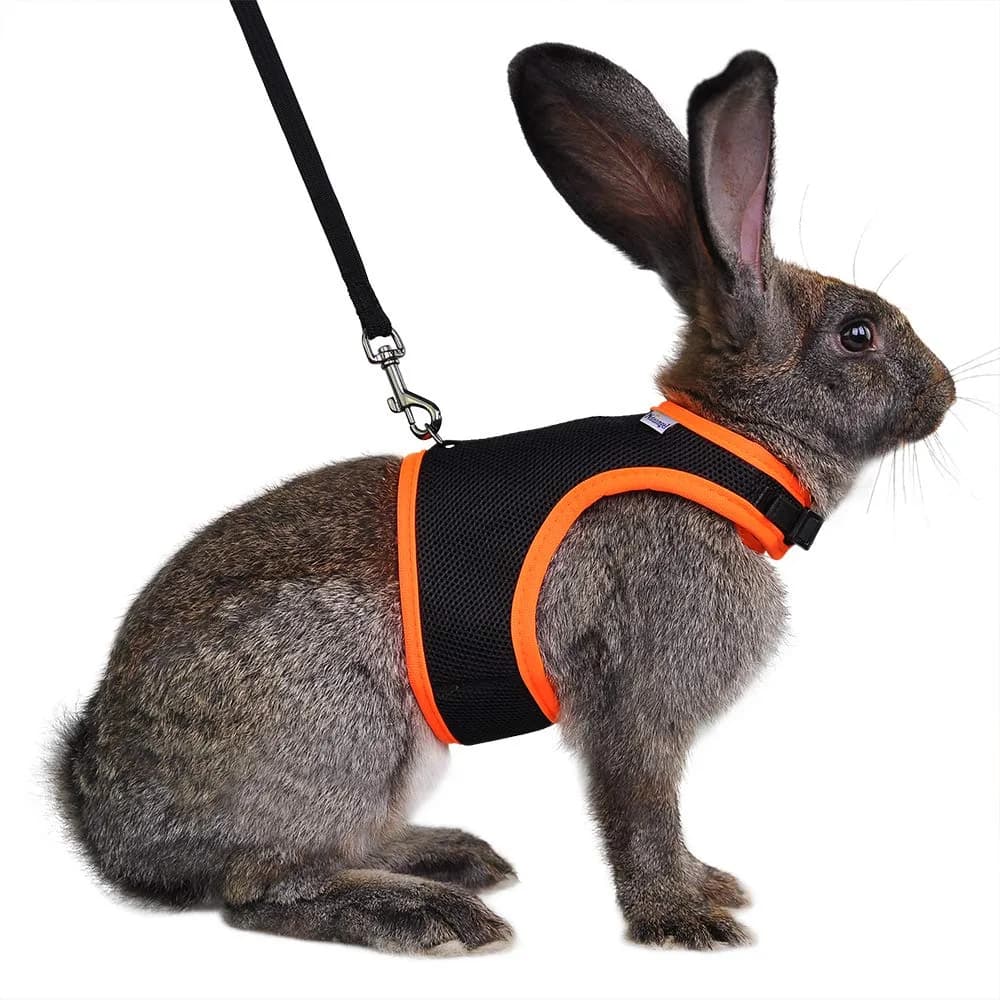 Niteangel Adjustable Soft Harness with Elastic Leash for Rabbits (L, Black) | Escape-Proof & Breathable Mesh