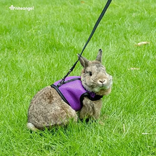 Niteangel Adjustable Soft Harness with Elastic Leash for Rabbits (L, Black) | Escape-Proof & Breathable Mesh thumbnail 5
