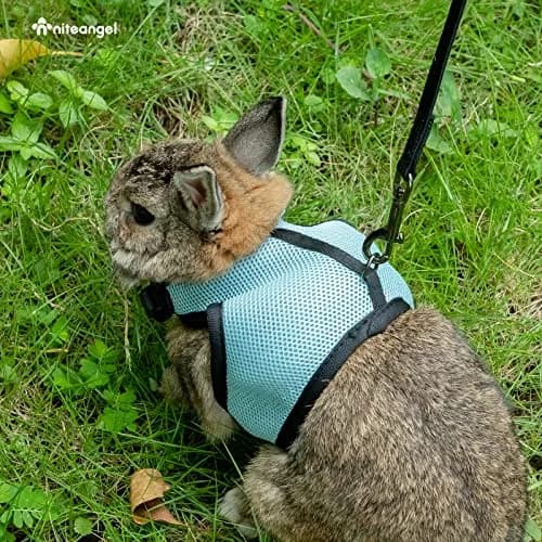 Niteangel Adjustable Soft Harness with Elastic Leash for Rabbits (L, Black) | Escape-Proof & Breathable Mesh thumbnail 6