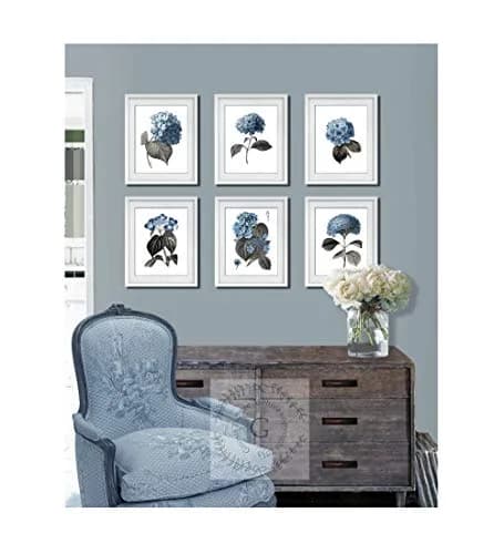 Gnosis Picture Archive Blue Hydrangea Botanical Art Prints Set of 6 (8x10 inch image on 8.5x11 inch paper) | Antique Floral Gallery Wall Decor thumbnail 3