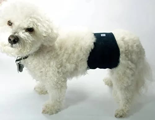 Teamoy Reusable Dog Diapers for Male Dogs, Pack of 3 Medium Belly Bands | Washable & Leak-Proof for Incontinence & Training thumbnail 8