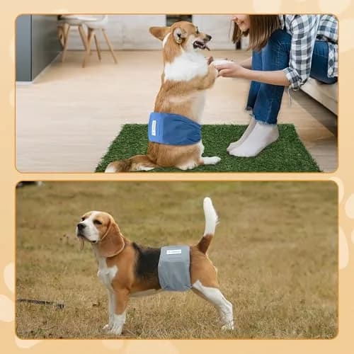 Teamoy Male Dog Belly Band, Reusable Wrap Dog Diapers, Pack of 3, Small | Leak-Proof & Washable for Male Dogs thumbnail 7