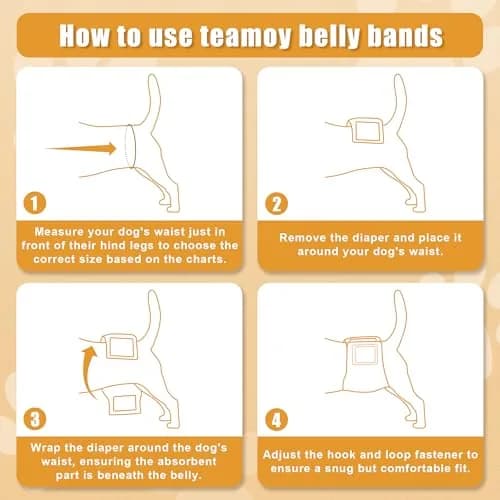 Teamoy Reusable Male Dog Belly Band, Pack of 3 Small | Washable Dog Diapers for Male Dogs, 10"-13" Waist thumbnail 4