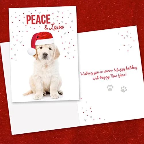 Canopy Street Labrador Love Holiday Card Pack / 25 Cards & Envelopes | Festive Puppy Design, Dog Christmas & New Year Cards thumbnail 4