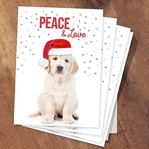 Canopy Street Labrador Love Holiday Card Pack / 25 Cards & Envelopes | Festive Puppy Design, Dog Christmas & New Year Cards thumbnail 5