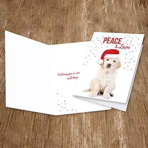 Canopy Street Labrador Love Holiday Card Pack / 25 Cards & Envelopes | Festive Puppy Design, Dog Christmas & New Year Cards thumbnail 7
