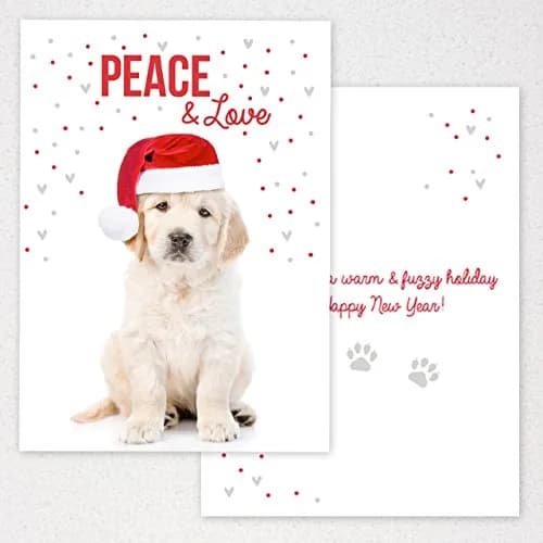Canopy Street Labrador Love Holiday Card Pack / 25 Cards & Envelopes | Festive Puppy Design, Dog Christmas & New Year Cards thumbnail 9