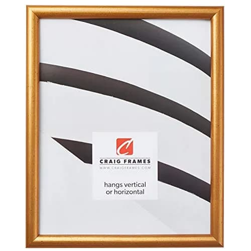 Craig Frames Bullnose 8x10-Inch Antique Gold Wall & Tabletop Picture Frame | Contemporary Solid Wood Profile thumbnail 1