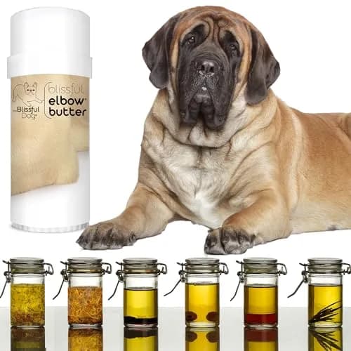 The Blissful Dog Elbow Butter Stick 64g (2.25 oz) | Lick-Safe Dog Balm for Dry, Cracked Calluses thumbnail 2