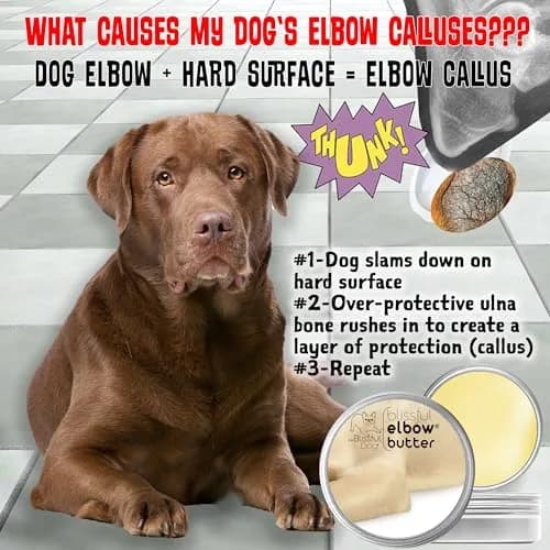 The Blissful Dog Elbow Butter Stick 64g (2.25 oz) | Lick-Safe Dog Balm for Dry, Cracked Calluses thumbnail 3