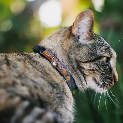 Buckle-Down Disney Breakaway Cat Collar | Original Artwork, Durable Polyester, Adjustable 8.5-12" thumbnail 2