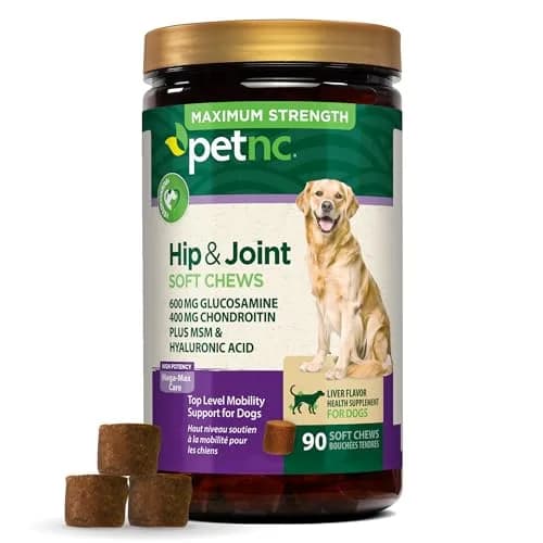 PetNC Natural Care Hip & Joint Mega Soft Chews for Dogs | 90 Count (40.8g / 1.48oz) thumbnail 1