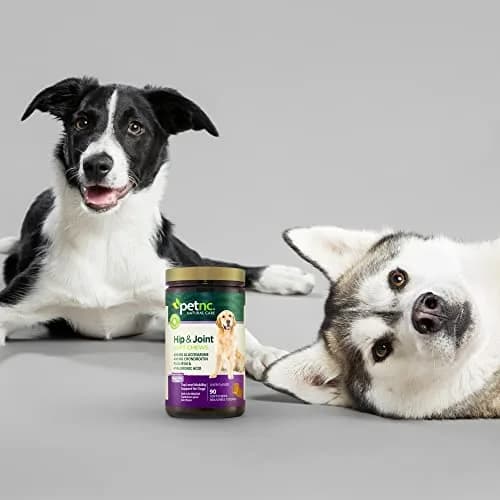 PetNC Natural Care Hip & Joint Mega Soft Chews for Dogs | 90 Count (40.8g / 1.48oz) thumbnail 8