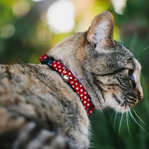 Buckle-Down Disney Breakaway Cat Collar | 8.5-12" Neck, Polka Dots, Multicolor thumbnail 2