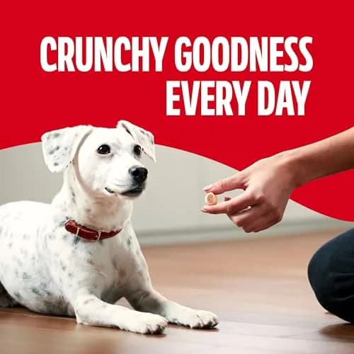 Milk-Bone MaroSnacks Small Dog Treats with Bone Marrow | Crunchy, Nutritious Snack for All Sizes thumbnail 6
