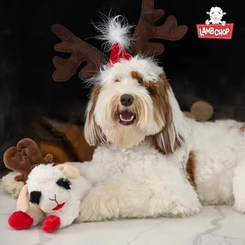 Multipet Lamb Chop Dog Plush Toy with Santa Hat - Squeaky Toy 15cm (6") | Soft & Cuddly for Puppies & Small Dogs thumbnail 8