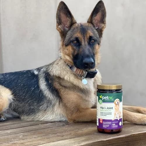 PetNC Natural Care Level-4 Hip & Joint Chews for Dogs, 150 Count | Max Support for Adult Dogs with Glucosamine, Chondroitin, MSM & Manganese thumbnail 5