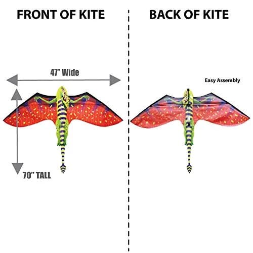 WindNSun Pterodactyl Supersize Kite, Multicolor, 70 Inches Tall | Vibrant Flying Performance thumbnail 3
