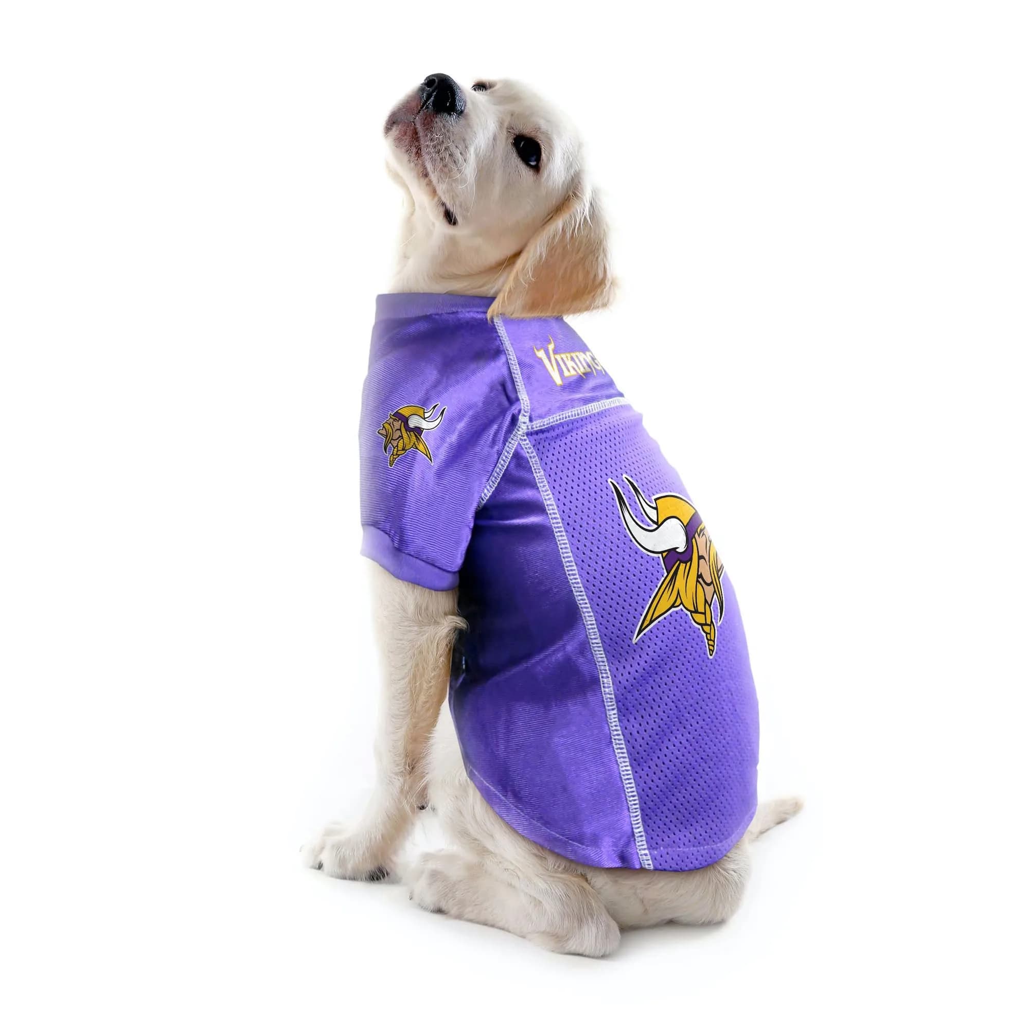 Littlearth NFL Minnesota Vikings Basic Pet Jersey, Team Color, X-Small | Officially Licensed NFL Fan Gear for Dogs thumbnail 2