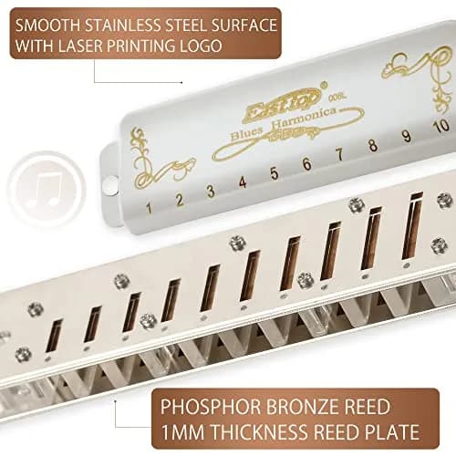 East top Diatonic Blues Harmonica Eb | Professional Brass & Acrylic, White thumbnail 3