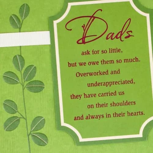 Hallmark Birthday Card for Dad (Loved and Appreciated) | Heartfelt Greeting for Father's Day & Birthdays thumbnail 4