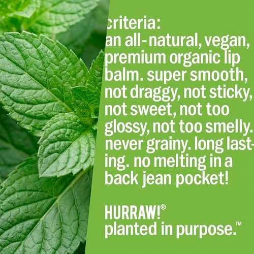 Hurraw! Mint Lip Balm 2 Pack | Organic, Vegan, Cruelty-Free, Made in USA thumbnail 6