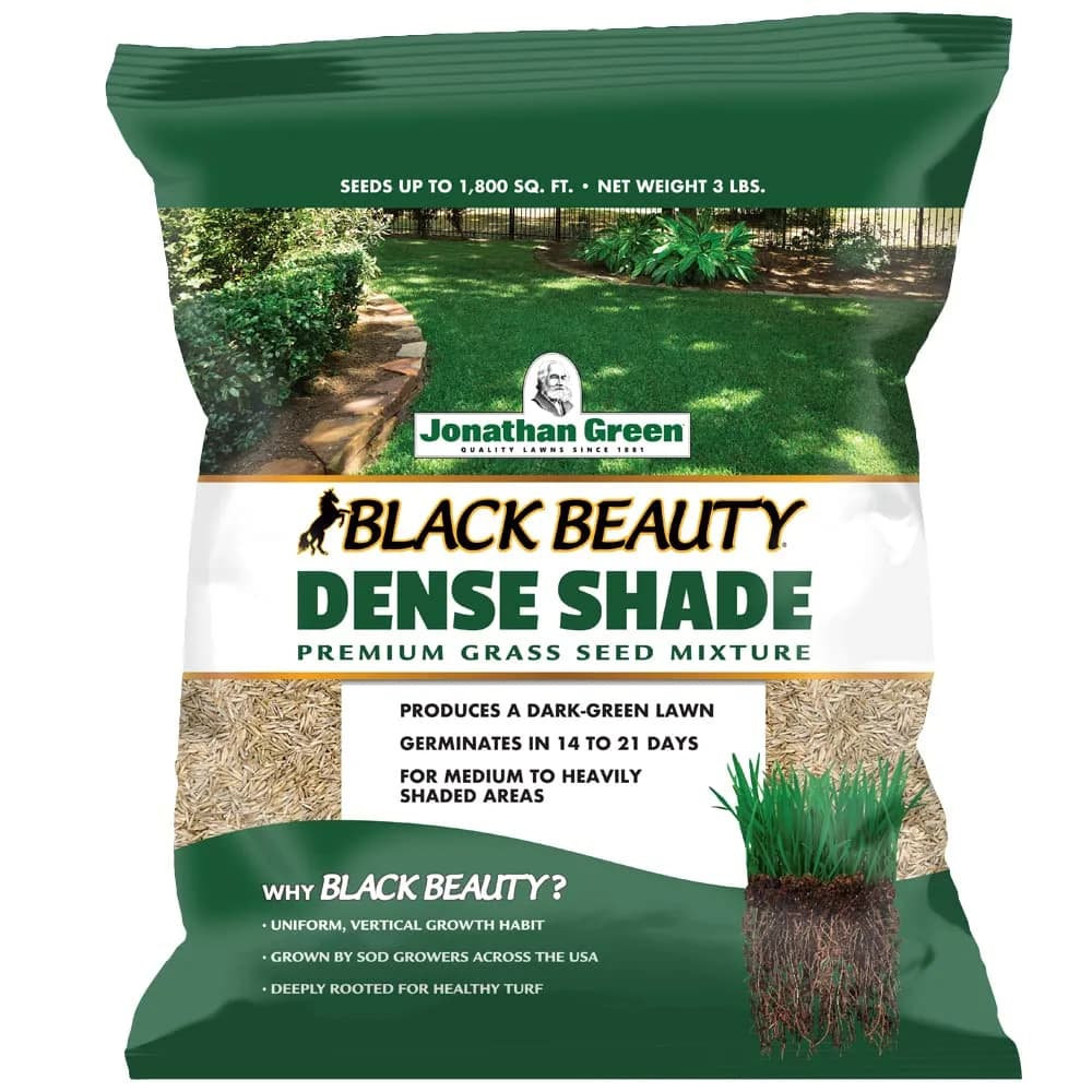 Jonathan Green Black Beauty Dense Shade Grass Seed 1.36 kg (3 lb) | Cool Season Lawn Seed for Shady Areas - main product image