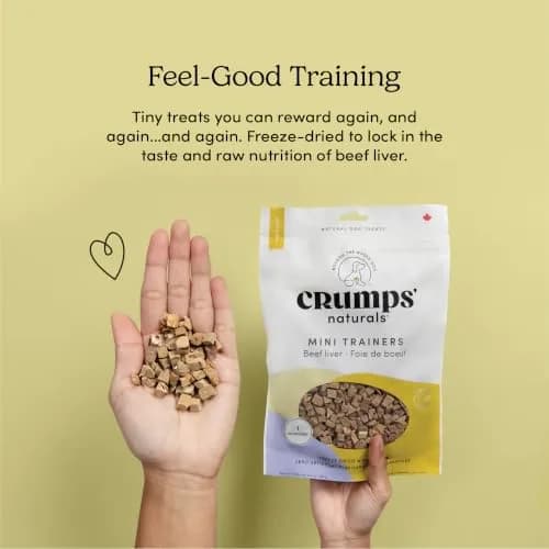 Crumps' Naturals Freeze Dried Beef Liver Mini Trainers, 4.4oz | All-Natural Dog Treats for Training & Rewards thumbnail 6