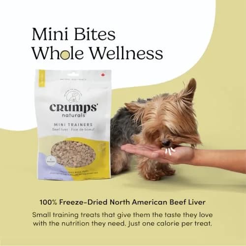 Crumps' Naturals Freeze Dried Beef Liver Mini Trainers, 4.4oz | All-Natural Dog Treats for Training & Rewards thumbnail 2