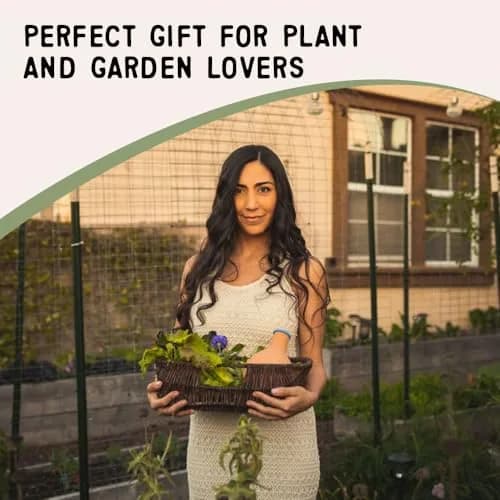Growoya Large OYA Irrigation Pot for Garden Bed, Raised Planters & Grow Bags | Eco-Friendly Watering Solution (70-120 chars) thumbnail 9
