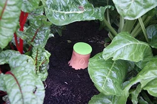 Growoya Large OYA Irrigation Pot for Garden Bed, Raised Planters & Grow Bags | Eco-Friendly Watering Solution (70-120 chars) thumbnail 2