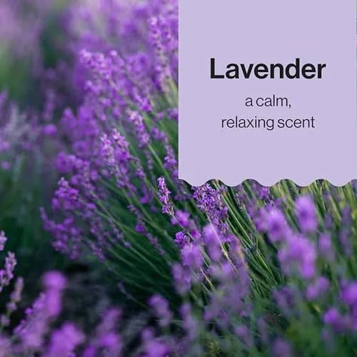 The Honest Company 2-in-1 Baby Shampoo & Body Wash Lavender Calm 295ml (10 fl oz) | Tear-Free Hypoallergenic Formula thumbnail 6